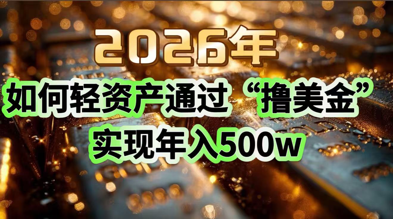 2026年如何轻资产通过“撸美金”实现年入500w-网创之家