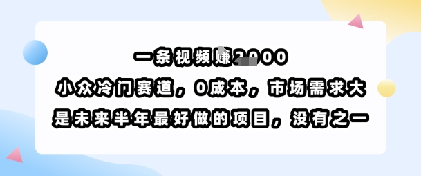 一条视频挣1k，小众冷门赛道，0成本，市场需求大，是未来半年最好做的项目，没有之一-网创之家