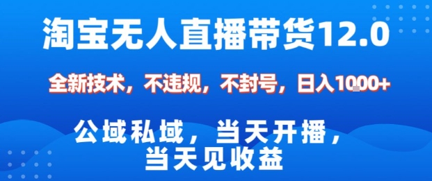 淘宝无人直播12.0，公域私域技术，不封号，不违规布局双十一流量风口，日入1k(独家技术)【揭秘】-网创之家