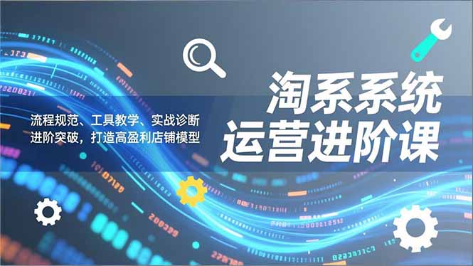 淘系系统运营进阶课2.0，流程规范、工具教学、实战诊断，进阶突破，打造高盈利店铺模型-网创之家