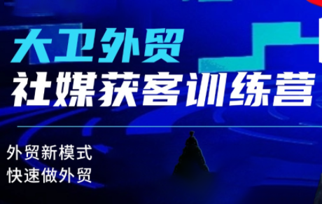 大卫老师·外贸社媒获客独家训练营(更新10月)-网创之家