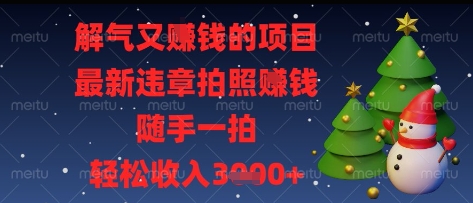 解气又挣钱的项目，最新违章拍照挣钱，随手一拍，轻松收入多张【揭秘】-网创之家