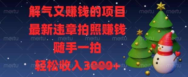 解气又挣钱的项目，最新违章拍照挣钱，随手一拍，轻松收入数张【揭秘】-网创之家
