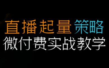 半野老师·直播带货起量与微付费必学课视频号-网创之家