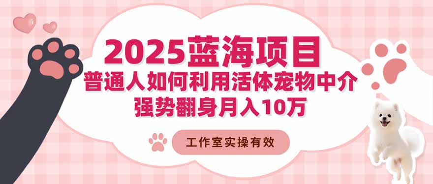 2025蓝海项目：普通人如何利用活体宠物中介，强势翻身月入10万-网创之家