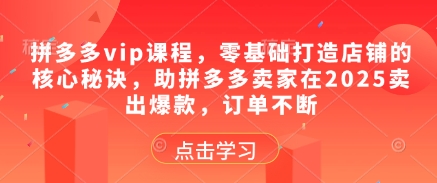 拼多多vip课程，零基础打造店铺的核心秘诀，助拼多多卖家在2025卖出爆款，订单不断-网创之家