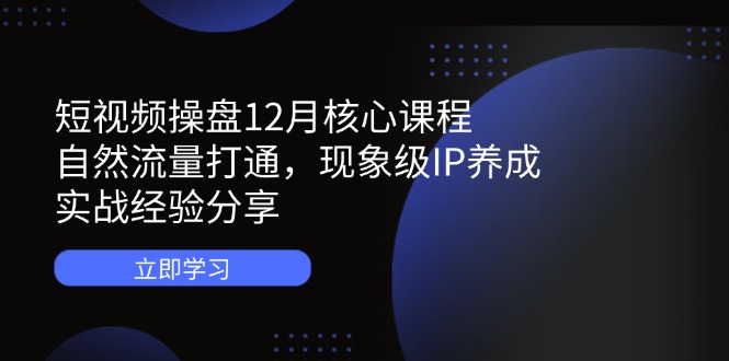 短视频操盘12月核心课程：自然流量打通，现象级IP养成，实战经验分享-网创之家