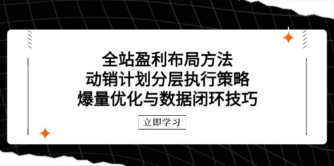 全站盈利布局方法：动销计划分层执行策略，爆量优化与数据闭环技巧-网创之家