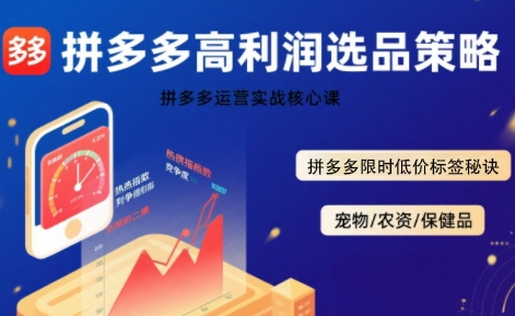 拼多多选品暴利技术实战课，拼多多高利润选品策略，拼多多限时低价标签秘诀-网创之家