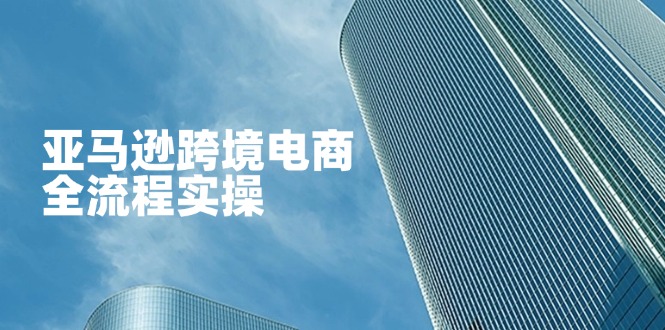 亚马逊跨境电商全流程实操，教你从零开始，掌握店铺运营与广告技巧-网创之家
