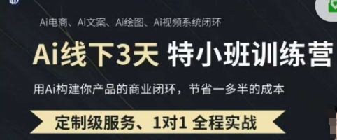 AI实操培训第20-21期线下，0基础保姆级教程，3月最新整理，企业获客、降本增效、打造超级个体-网创之家
