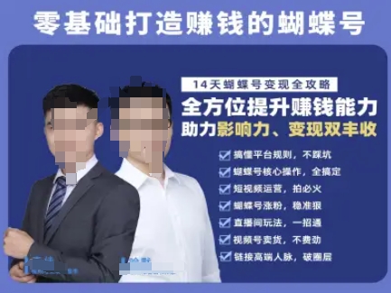 蝴蝶号专栏-视频号运营教程，零基础打造挣钱的蝴蝶号，14天蝴蝶号变现全攻略-网创之家