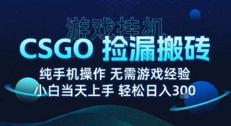 8月最新游戏搬砖，CSGO纯挂G，不需要玩游戏，实现真挂G，月入1W+【揭秘】-网创之家