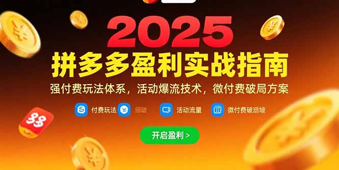 拼多多盈利实战指南，强付费玩法，活动爆流技术，微付费破局方案(更新7月-网创之家