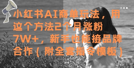 小红书AI商单玩法，用这个方法2个月涨粉7W+，新手也能接品牌合作(附全套指令模板)-网创之家