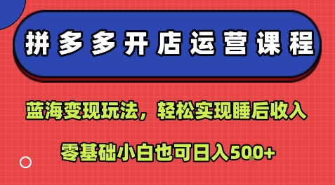 拼多多开店运营课程:蓝海变现玩法,轻松实现睡后收入,零基础小白也可日入5张-网创之家