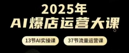 2025年AI爆店运营大课，13节AI实操课+37节流量运营课-网创之家