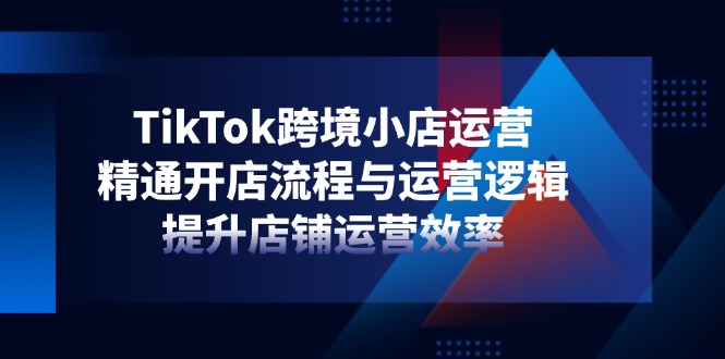 TikTok跨境小店运营，精通开店流程与运营逻辑，提升店铺运营效率-网创之家