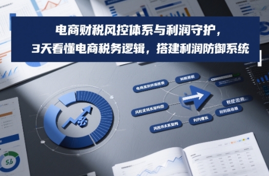 电商财税风控体系与利润守护,3天看懂电商税务逻辑,搭建利润防御系统-网创之家