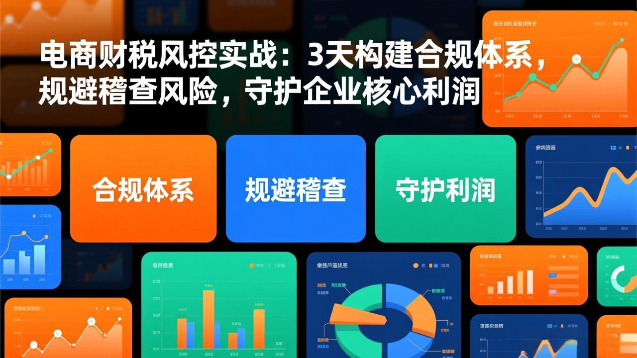 电商财税风控实战：3天构建合规体系，规避稽查风险，守护企业核心利润-网创之家