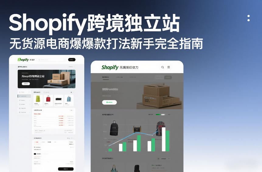 Shopify跨境独立站无货源电商爆款打法新手完全指南-网创之家