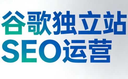 谷歌独立站SEO运营(更新2026)-网创之家