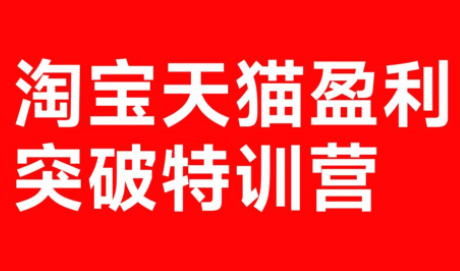 玺承·淘宝天猫盈利突破特训营(25年12月线下课)【音频+字幕】-网创之家