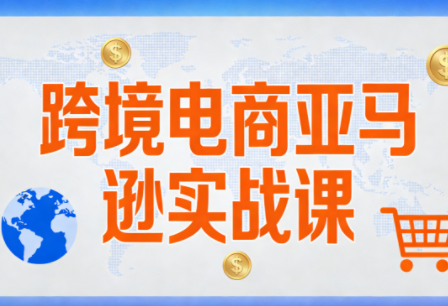 丝丝老师·跨境电商亚马逊实战课(更新2月)-网创之家