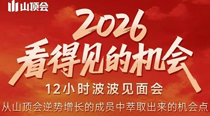 波波·2026看得见的机会12小时波波见面会(东莞线下课2月1日)-网创之家
