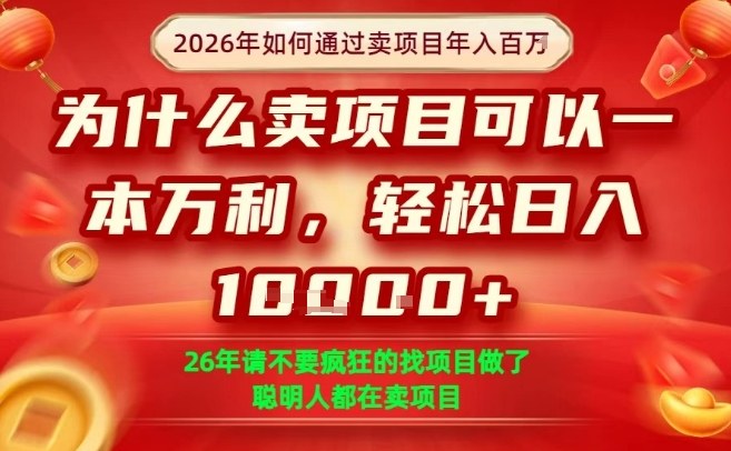一单净利润1K+，26年想年入100个W，死磕卖项目就够了【揭秘】-网创之家