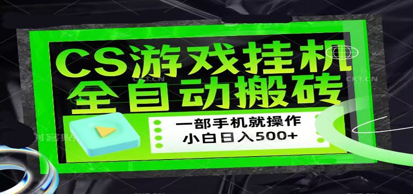CSGO游戏挂机捡漏搬砖，超稳定的项目，带领1000+小白实现日入500+-网创之家