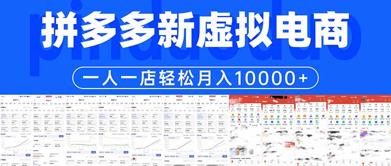 拼多多虚拟电商一人一店轻松月入10000+-网创之家