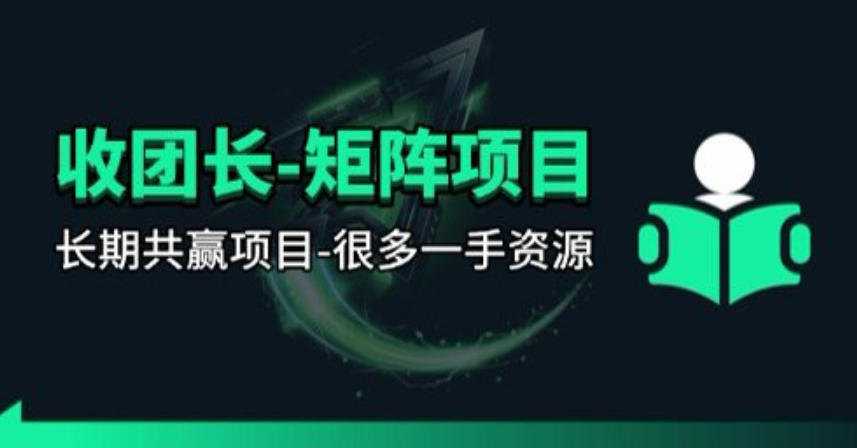 【团长合作】视频矩阵项目_招发手矩阵+剪辑师，共赢项目【揭秘】-网创之家