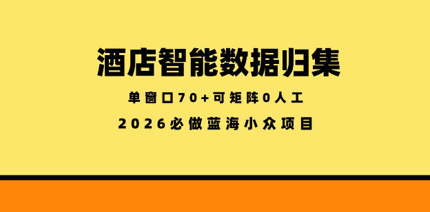 酒店智能数据归集，小众蓝海已经稳定半年之久，单窗口70+零成本矩阵开干【揭秘】-网创之家