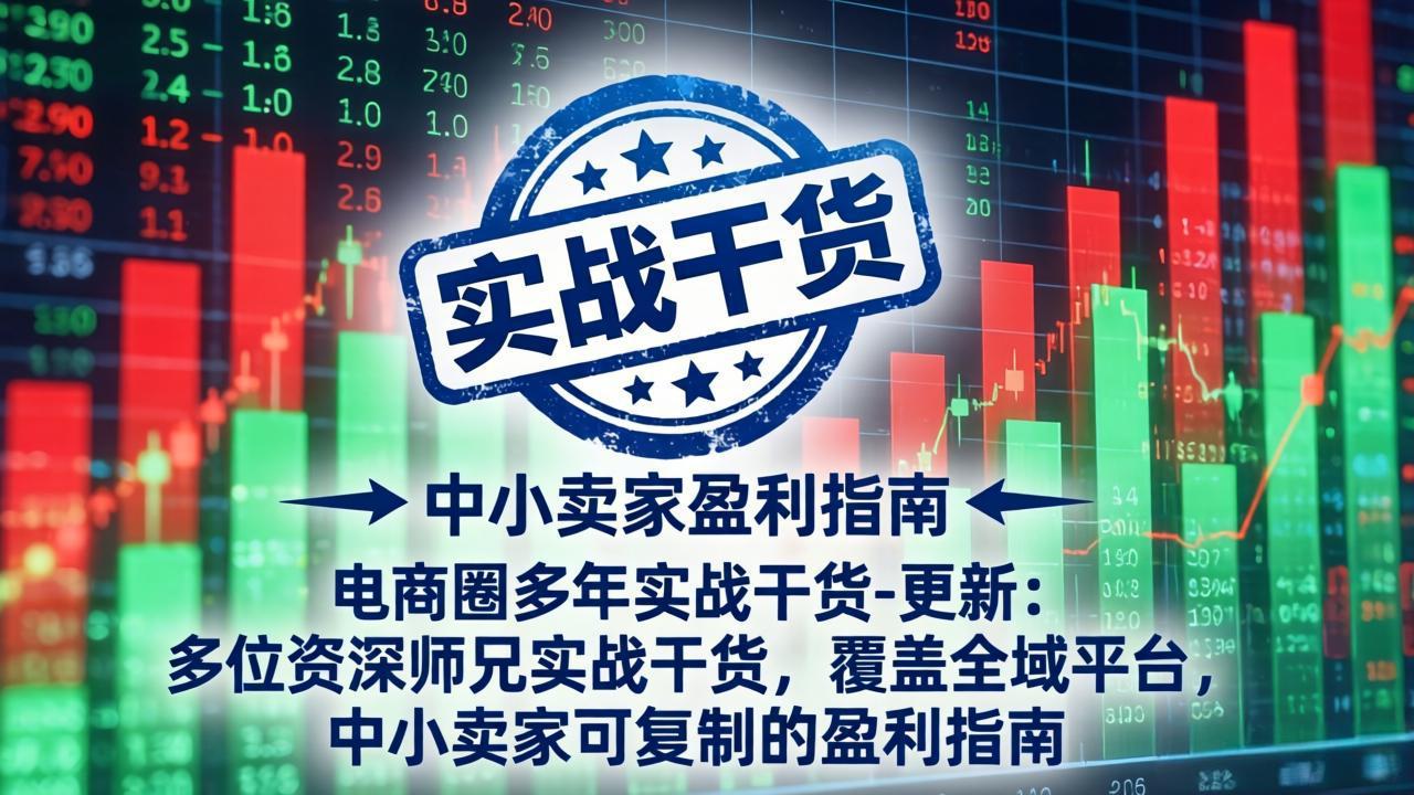 电商圈多年实战干货-更新5月20：多位资深师兄实战干货/覆盖全域平台，中小卖家可复制的盈利指南-网创之家