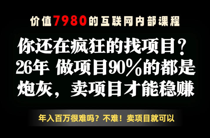 26年请不要疯狂的找项目了，卖项目远比你想象的暴利，你也可以月入10W+【揭秘】-网创之家