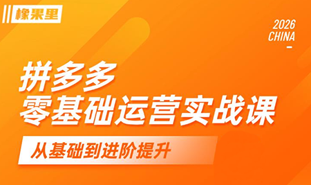 仙道电商·拼多多零基础运营实战课-网创之家
