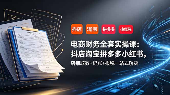 电商财务全套实操课：抖店淘宝拼多多小红书，店铺取数+记账+报税一站式解决-网创之家