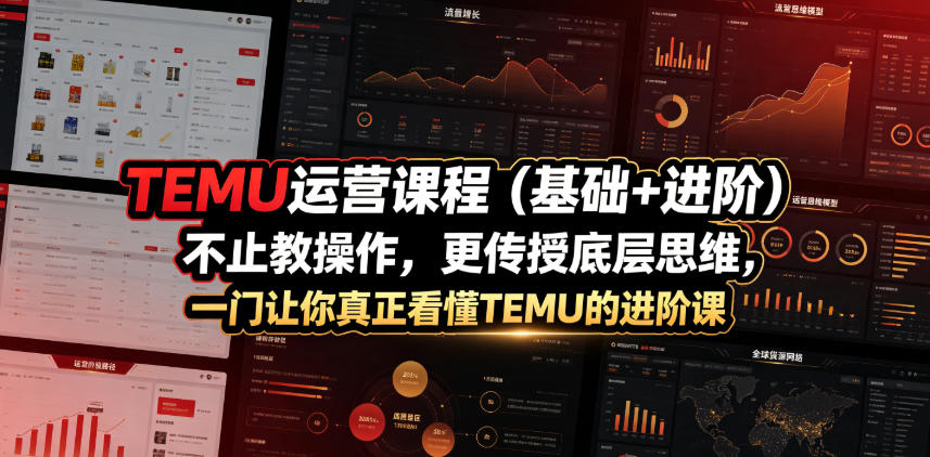 TEMU运营课程(基础+进阶)，不止教操作，更传授底层思维，一门让你真正看懂TEMU的进阶课-网创之家