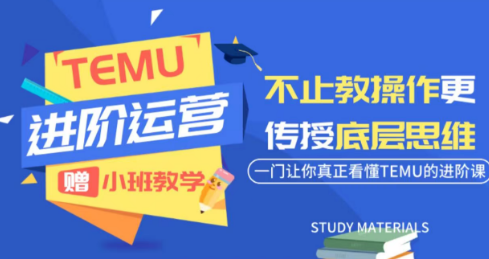 阿卡林·TEMU运营课程(基础+进阶)-网创之家