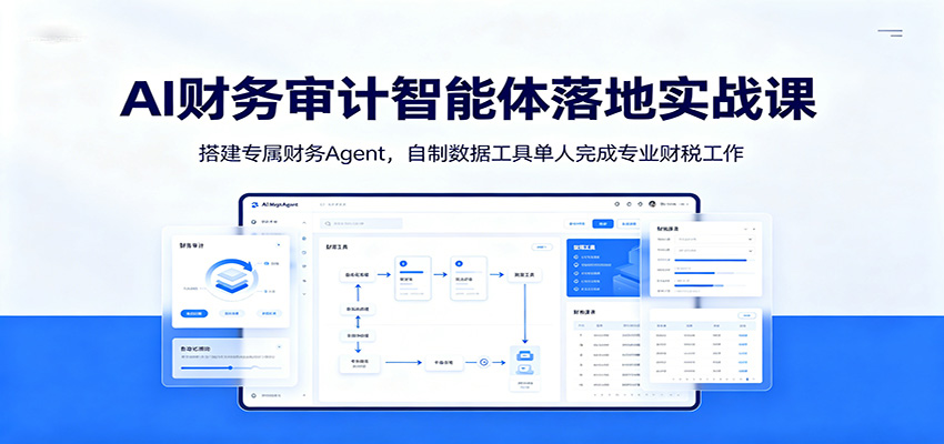 AI财务审计智能体落地实战课：搭建专属财务Agent，自制数据工具单人完成专业财税工作-网创之家