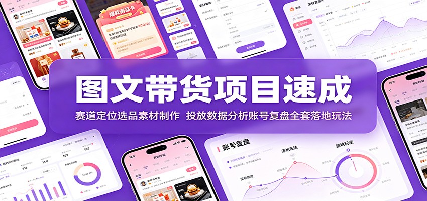 图文带货项目速成：赛道定位选品素材制作，投放数据分析账号复盘全套落地玩法-网创之家