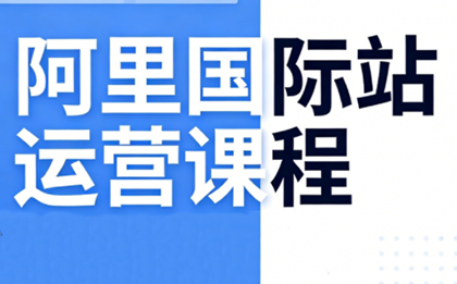 张国儒·阿里国际站运营课程(更新7月)-网创之家