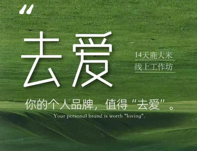 去爱14天鹿大米线上工作坊,你的个人品牌,值得“去爱”-网创之家