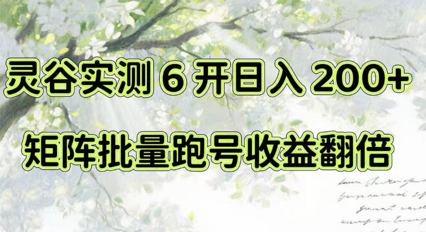 一台电脑就能做！灵谷实测6开日入200+，矩阵批量跑号收益翻倍【揭秘】-网创之家