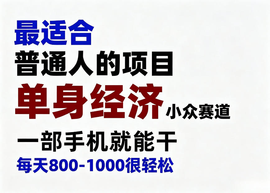 身经济小众赛道,一部手机就能干,每天搞个800-1000很轻松,最适合普通人的项目【揭秘】-网创之家