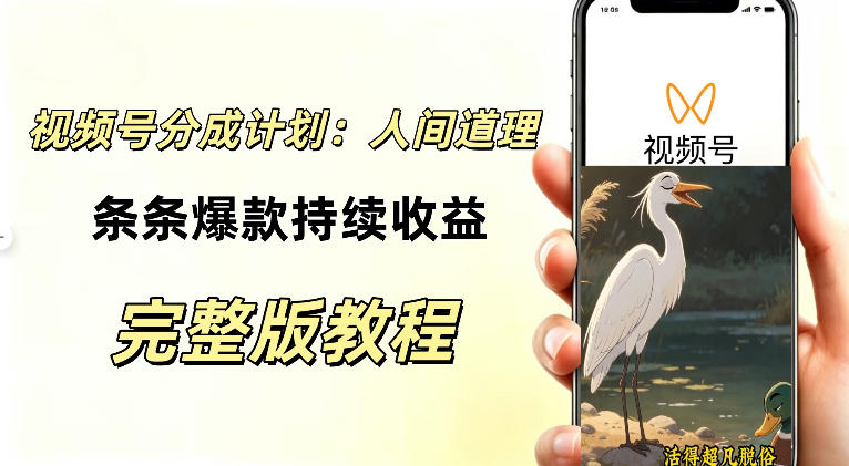 视频号新玩法之AI动漫画风励志视频,不用会画画、不用拍摄,持续化收益,详细拆解-网创之家