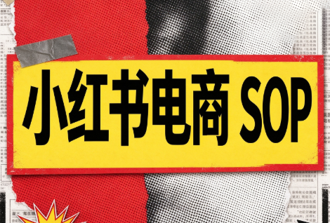 书豪必胜小红书电商sop(更新9月)-网创之家