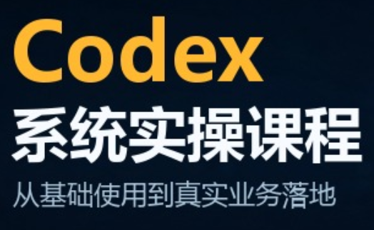 codex系统实操课程(更新10月)-网创之家