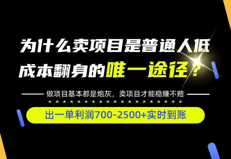 普通人如何靠互联网賺取自己的第一桶金！全类目实操型教学，看完你全都懂了！【揭秘】-网创之家